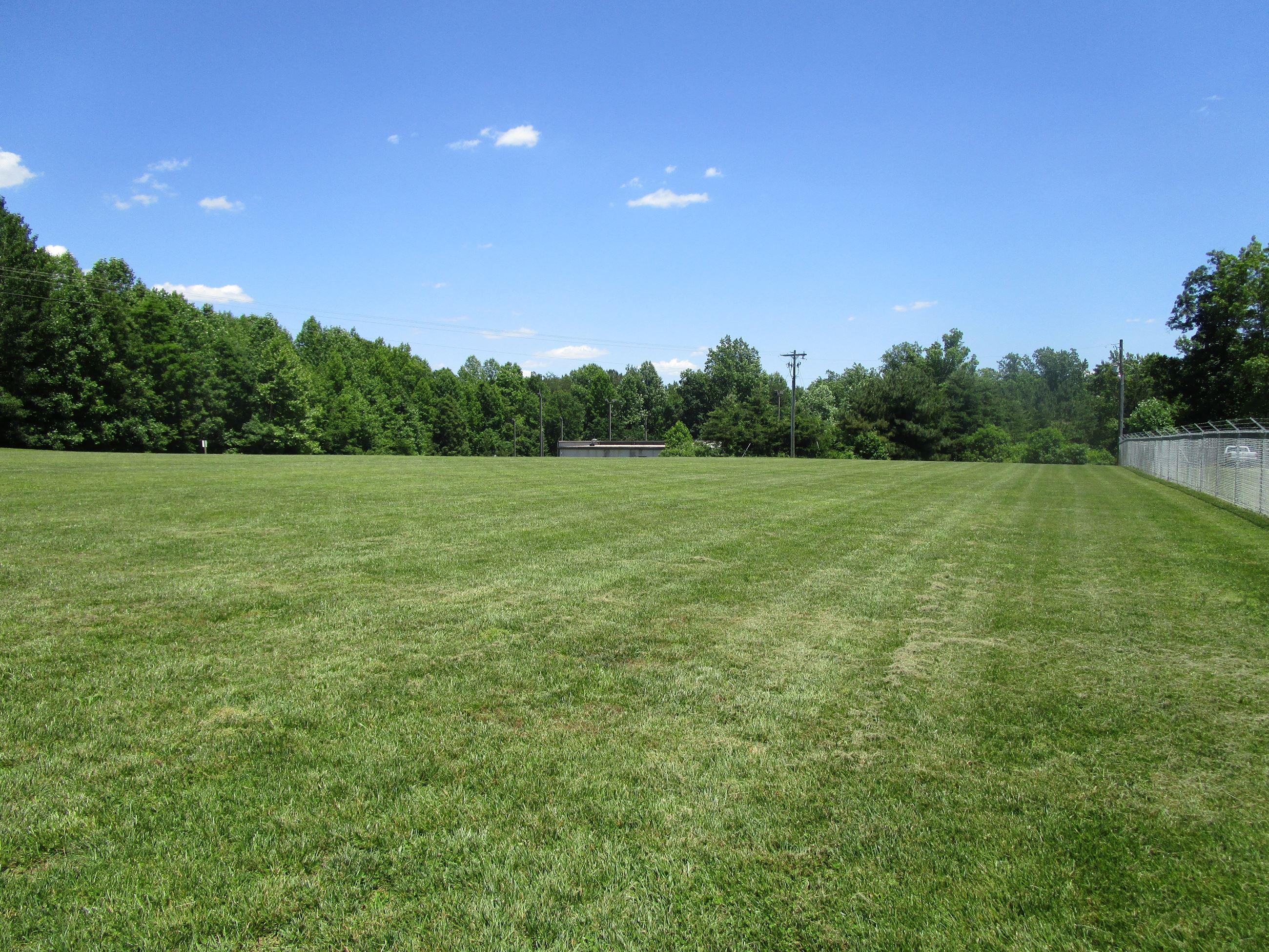 Animal Shelter Field